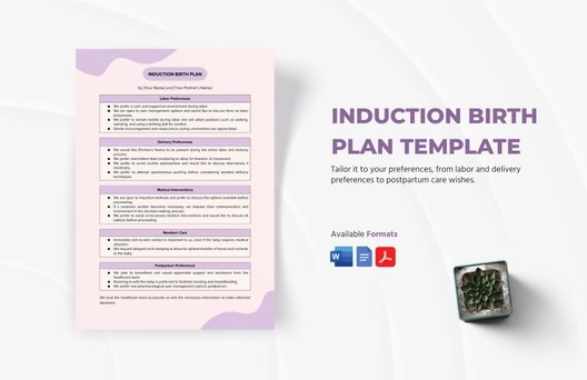 Induction Birth Plan Template