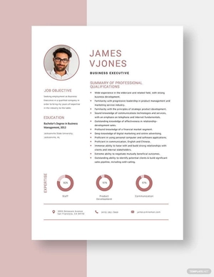 Business Executive Resume