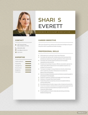 Business Intelligence Account Executive Resume