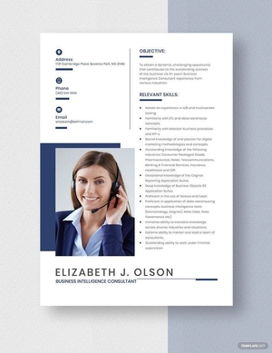 Business Intelligence Consultant Resume