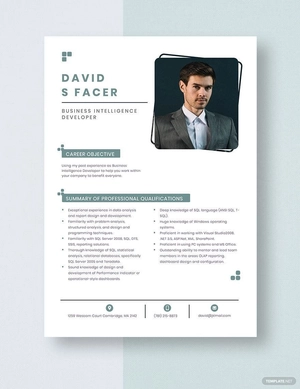 Business Intelligence Developer Resume
