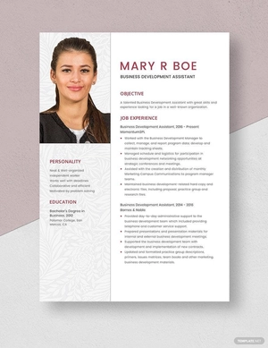 Business Development Assistant Resume