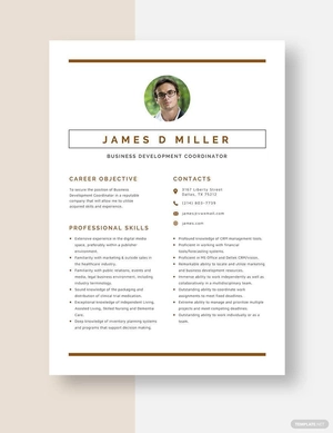 Business Development Coordinator Resume