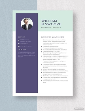 PMP Project Manager Resume