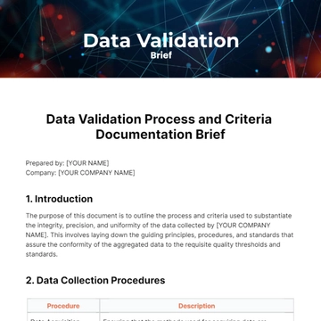 Free Data Validation Brief Template to Edit Online