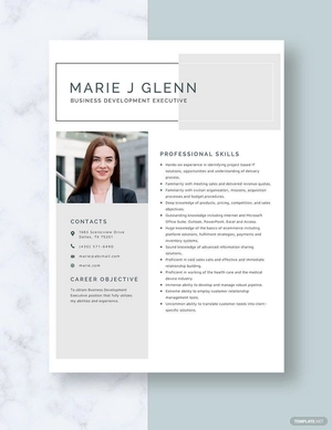 Business Development Executive Resume