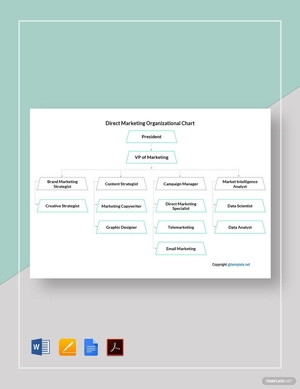 Direct Marketing Organizational Chart Template