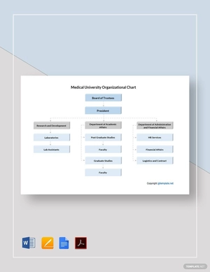 Medical University Organizational Chart Template