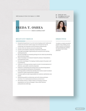 Media Consultant Resume