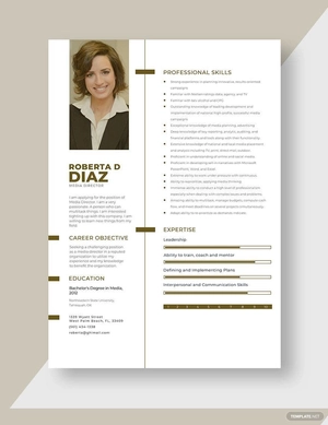 Media Director Resume