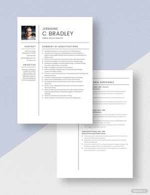 Public Health Analyst Resume