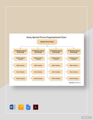 Army Special Forces Organizational Chart Template