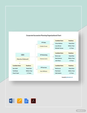 Corporate Succession Planning Organizational Chart Template