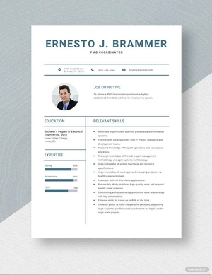 PMO Coordinator Resume