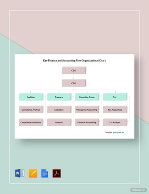 Key Finance and Accounting Firm Organizational Chart Template