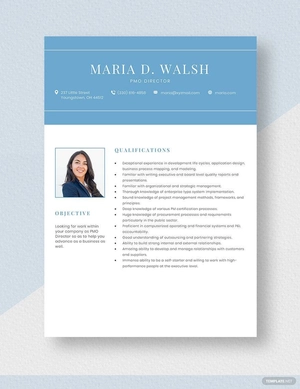 PMO Director Resume