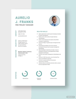 PMO Project Manager Resume