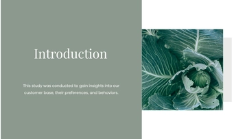 Free Product Presentation Template to Edit Online