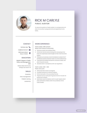 Public Auditor Resume