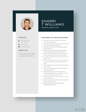 Broker Consultant Resume