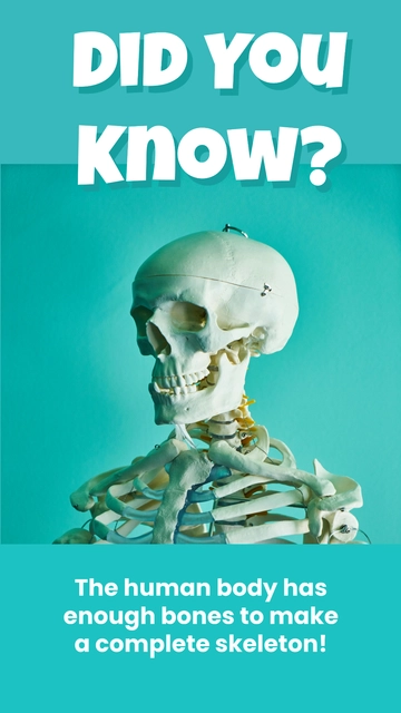 Free Did You Know Meme Template to Edit Online