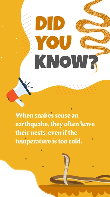 Free Did You Know Banner Template to Edit Online