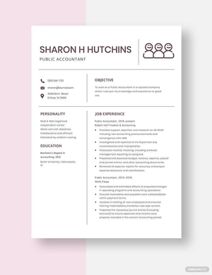Public Accountant Resume
