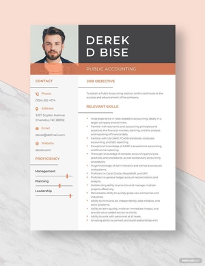 Public Accounting Resume