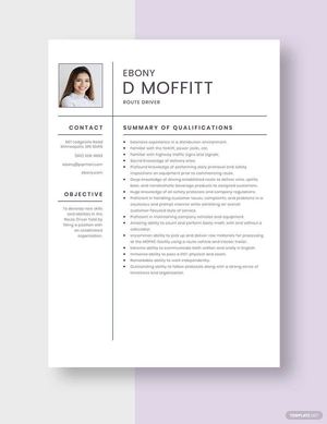 Route Driver Resume