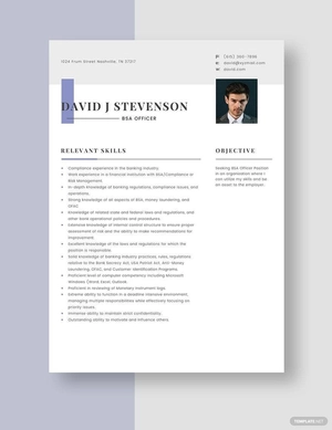 BSA Officer Resume