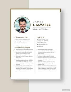 Budget Accountant Resume