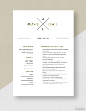 Budget Analyst Resume