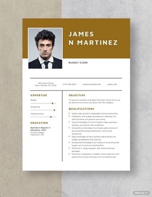Budget Clerk Resume