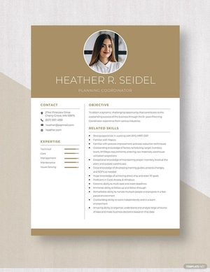 Planning Coordinator Resume