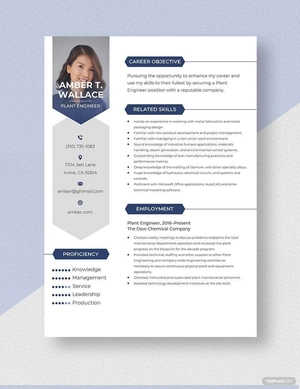 Plant Engineer Resume