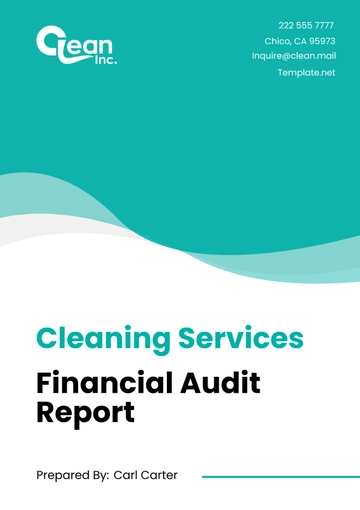 Free Cleaning Services Financial Audit Report Template to Edit Online