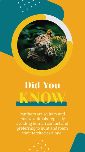 Free Photocentric Panther Did You Know Facebook Poster Template to Edit Online