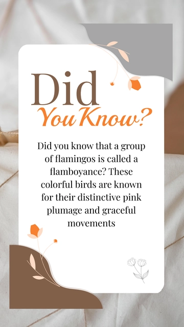 Free Aesthetic Did You Know Instagram Story Template to Edit Online