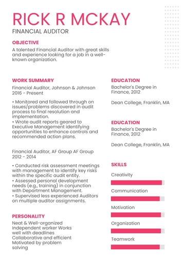Free Financial Auditor Resume to Edit Online