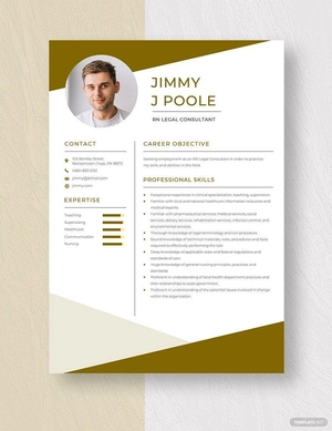 RN Legal Consultant Resume