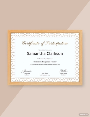 Editable Blank Certificate of Participation Template