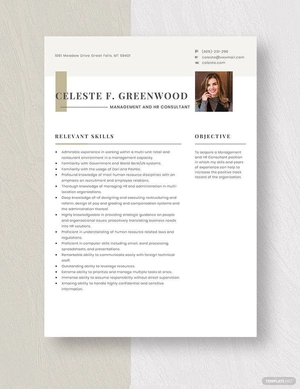 Management and HR Consultant Resume