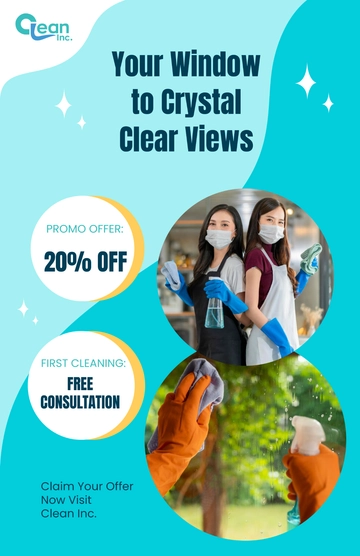 Free Professional Window Cleaning Promo Poster Template to Edit Online
