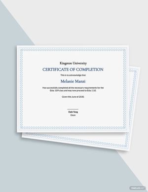 Sample Completion Certificate Template