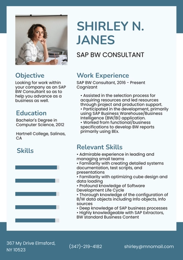 Free SAP BW Consultant Resume to Edit Online