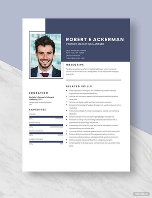 Partner Marketing Manager Resume