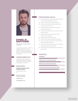Partnership Development Manager Resume