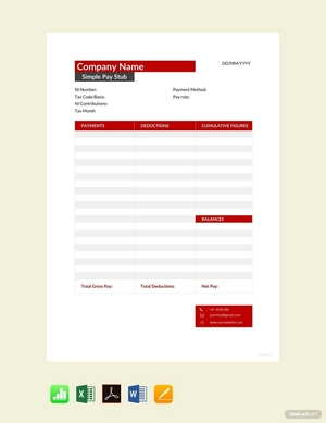 Simple Pay Stub Template
