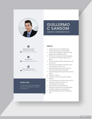Owner's Representative Resume