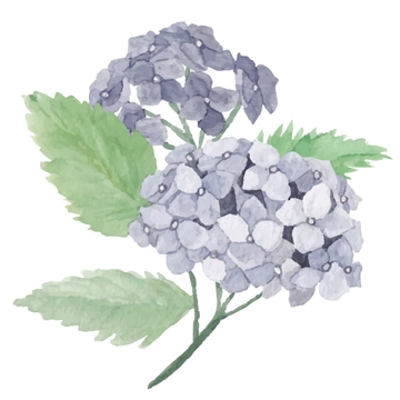 Free Twin Gray Watercolor Flower Clipart to Edit Online